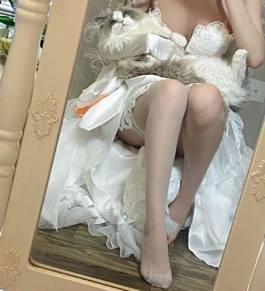 智能性能机器人电影观看