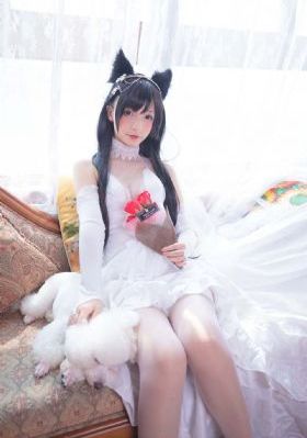 梦想成为魔法少女动漫免费看